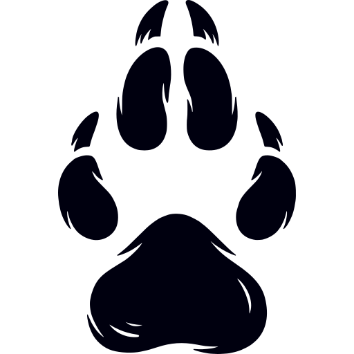Paw